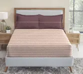 Weaving Comfort into Every Corner: An Insider’s Word Guide to myTrident—Products, Styles, and Smart-Shopper Secrets