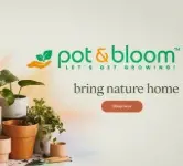 Is Pot and Bloom the Best Choice for Home Gardening?